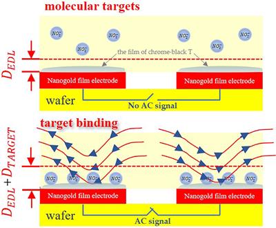 A Fast and Highly Selective Nitrite Sensor Based on Interdigital Electrodes Modified With Nanogold Film and Chrome-Black T